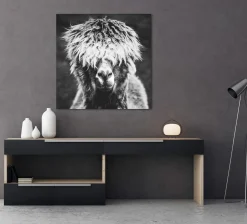 Acrylglasbild ALPAKA HIPPIE