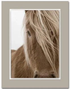 Acrylglasbild ALUDIBOND