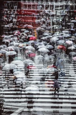 Acrylglasbild auf Aludibond