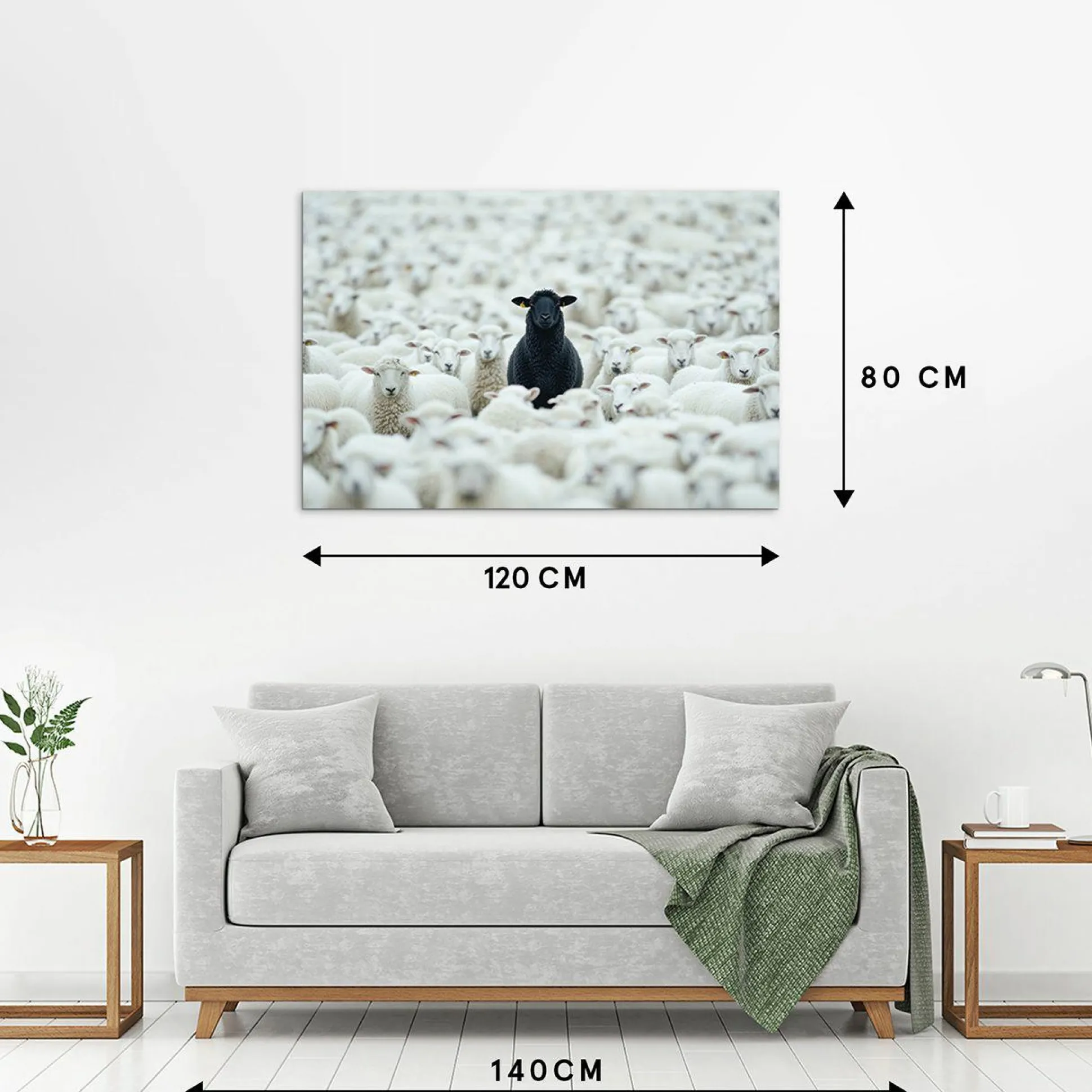 Acrylglasbild BLACK SHEEP