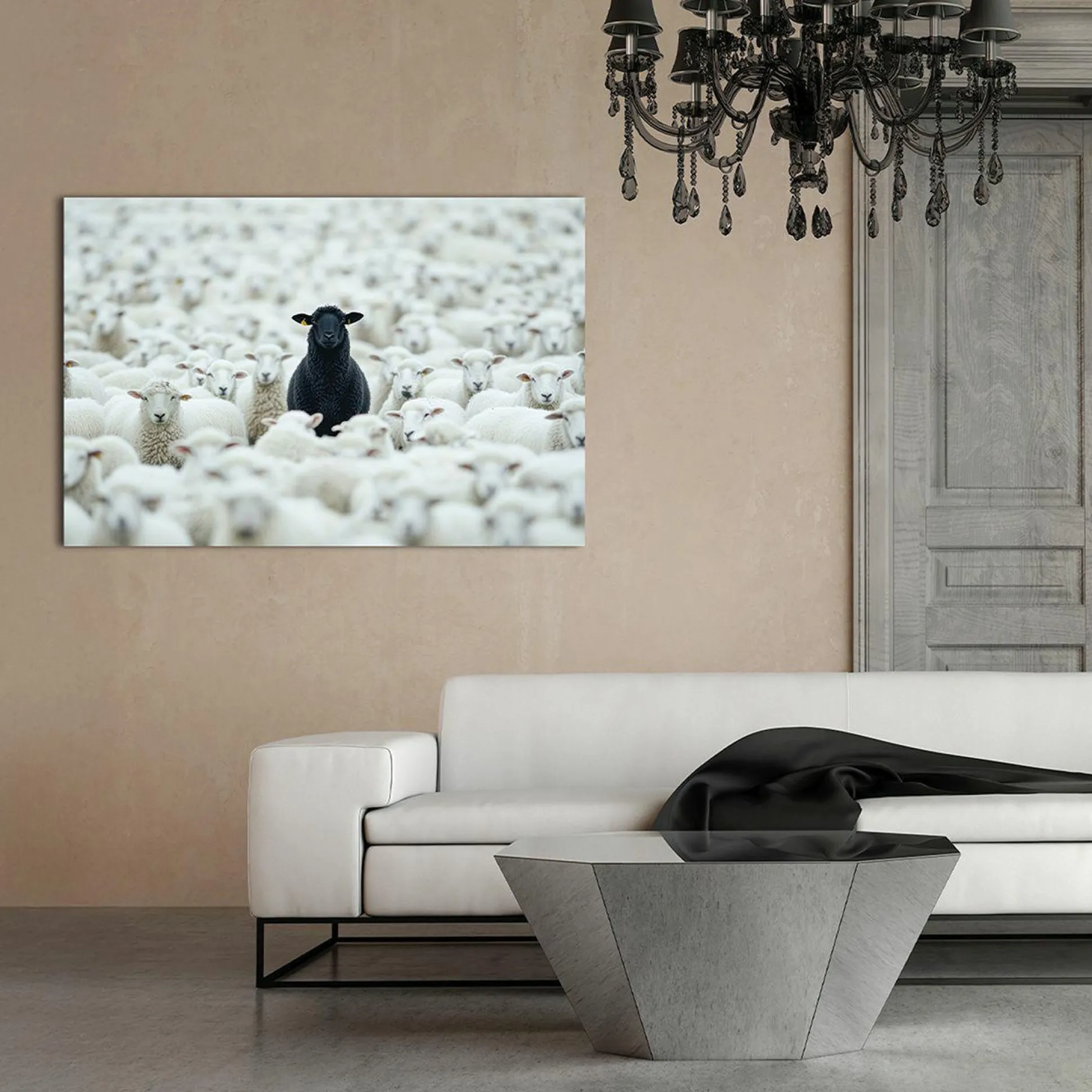 Acrylglasbild BLACK SHEEP