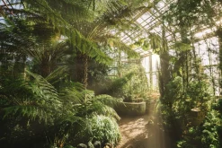 Acrylglasbild GEWÄCHSHAUS