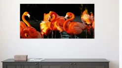 Akustikbild FLAMINGOS