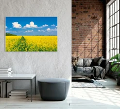 Akustikbild GELBES RAPSFELD