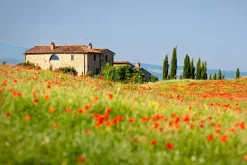 Akustikbild HAUS MIT MOHNWIESE
