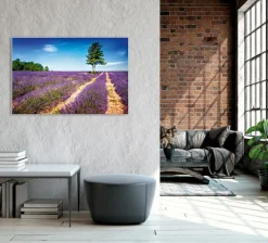 Akustikbild LAVENDELFELD 2