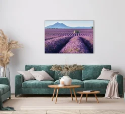 Akustikbild LAVENDELFELD 8