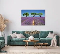 Akustikbild LAVENDELFELD 6