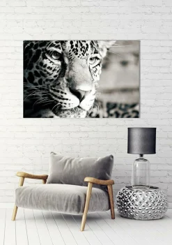 Akustikbild LEOPARD