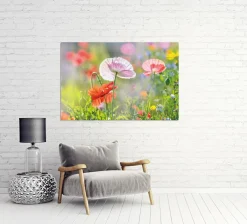 Akustikbild MOHNBLUMEN 4