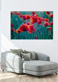 Akustikbild MOHNFELD