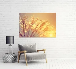 Akustikbild PUSTEBLUME