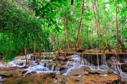 Akustikbild WASSERFALL 1