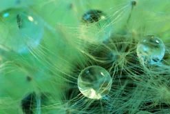 Akustikbild WASSERPERLEN