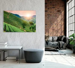 Akustikbild WEINBERGE