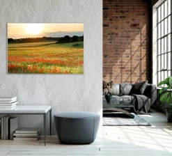 Akustikbild WIESE MIT MOHN