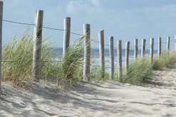 Akustikbild ZAUN IN DEN DÜNEN