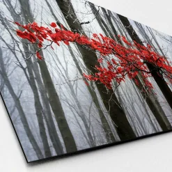 Aludibondbild MYSTIC TREES II