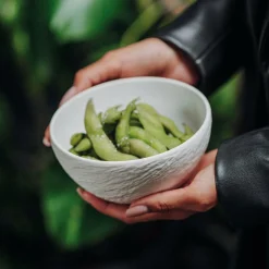 Bol MANUFACTURE ROCK