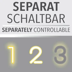 Deckenleuchte PURE LOOP