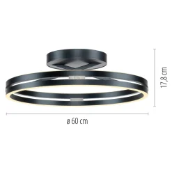 Deckenleuchte PURE LOOP