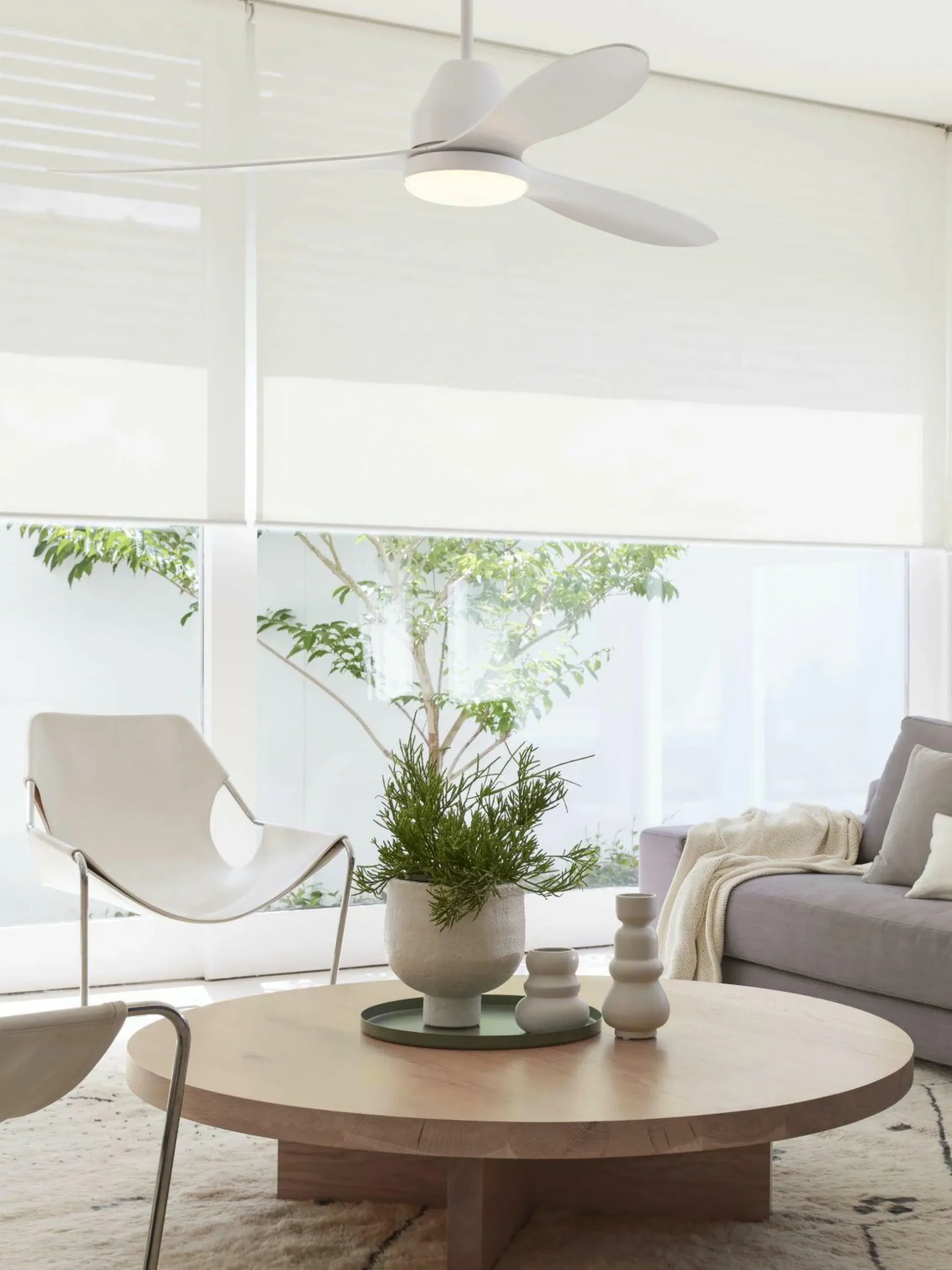 Deckenventilator HAVEN LED