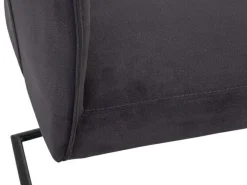 Freischwinger Rolf Weber NIDEGGEN