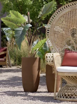 Gartensessel PEACOCK