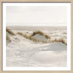 Gerahmtes Bild DRIED FIBER IV