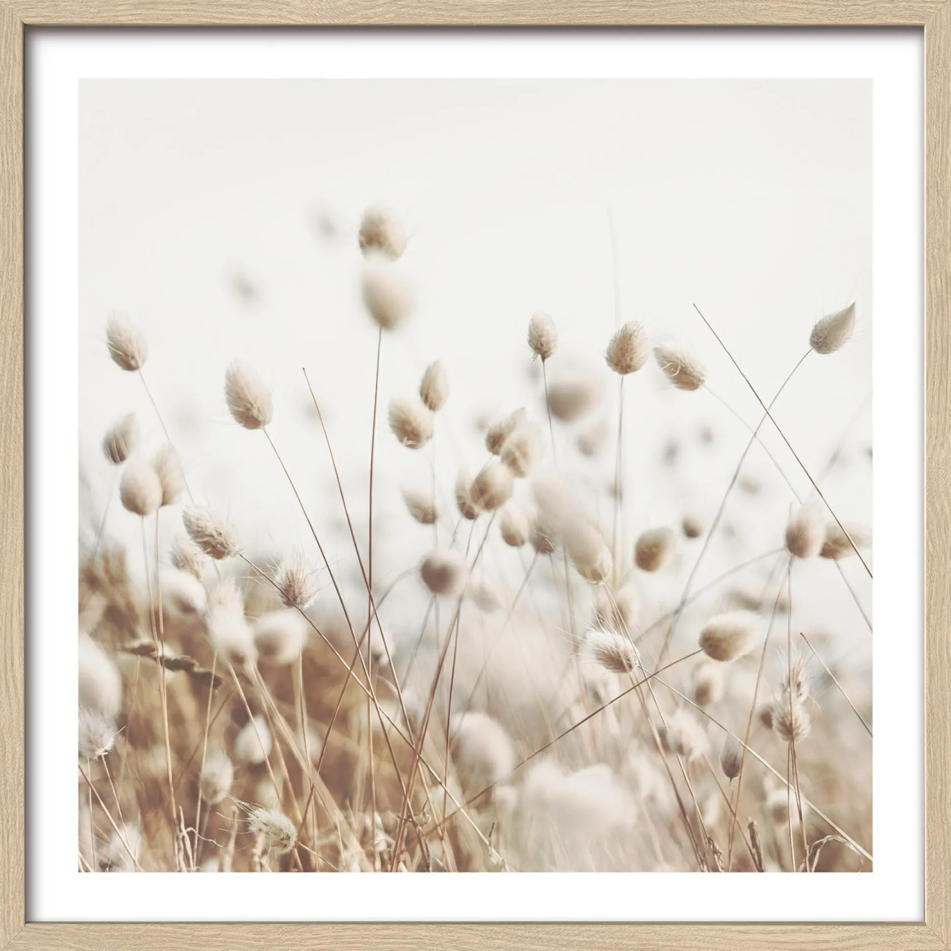 Gerahmtes Bild DRIED FIBER IV