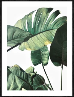Gerahmtes Bild JUNGLE LEAVES