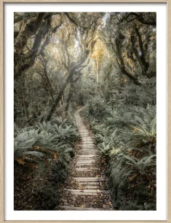 Gerahmtes Bild THROUGH THE