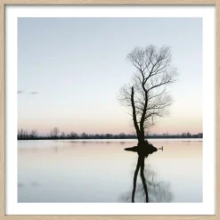 Gerahmtes Bild TREE IN A LAKE