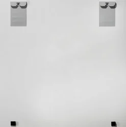 Glasbild HOCHLANDRIND