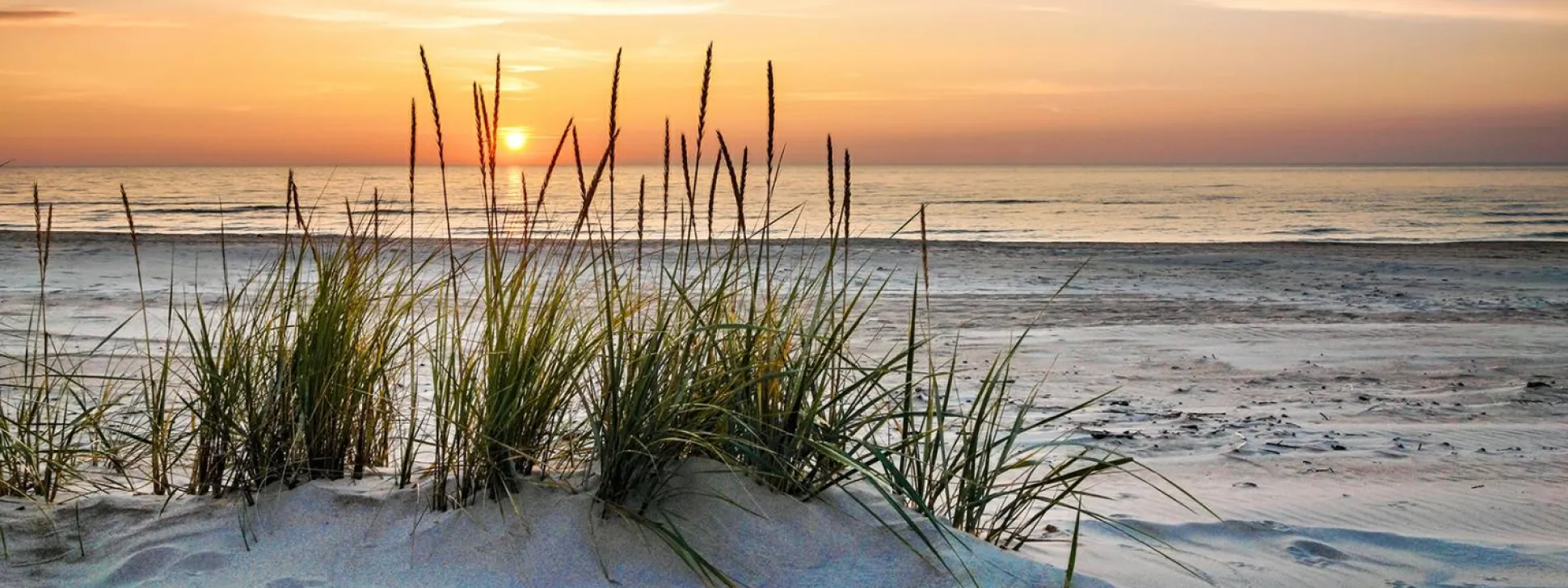 Glasbild LONELY DUNE