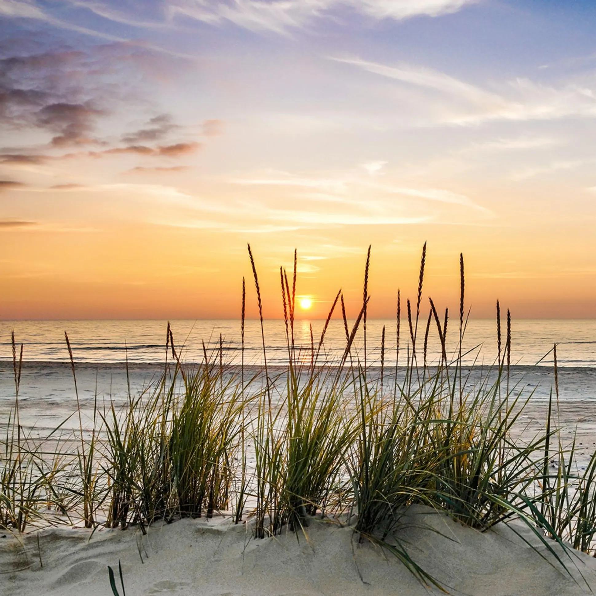 Glasbild LONELY DUNE