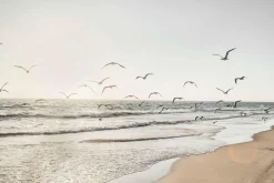 Glasbild MÖWEN ÜBER DEM MEER