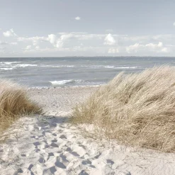 Glasbild OASE DER SINNE I