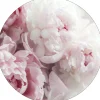 Glasbild PEONIES II