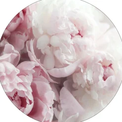 Glasbild PEONIES II