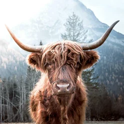 Glasbild SCOTTISH HIGHLAND