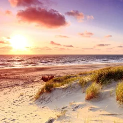 Glasbild SEA HARMONY