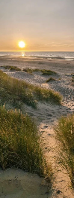 Glasbild WEG ZUM STRAND II