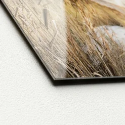 Glasbild WILDER STRAND III