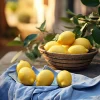 Keilrahmenbild LEMONS III