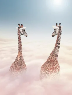 Keilrahmenbild WOLKENREISE