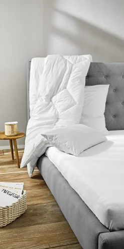 Kopfkissen SOFTY SINFONIE BIO