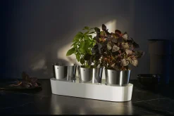 Kräutergarten WMF 3 teilig