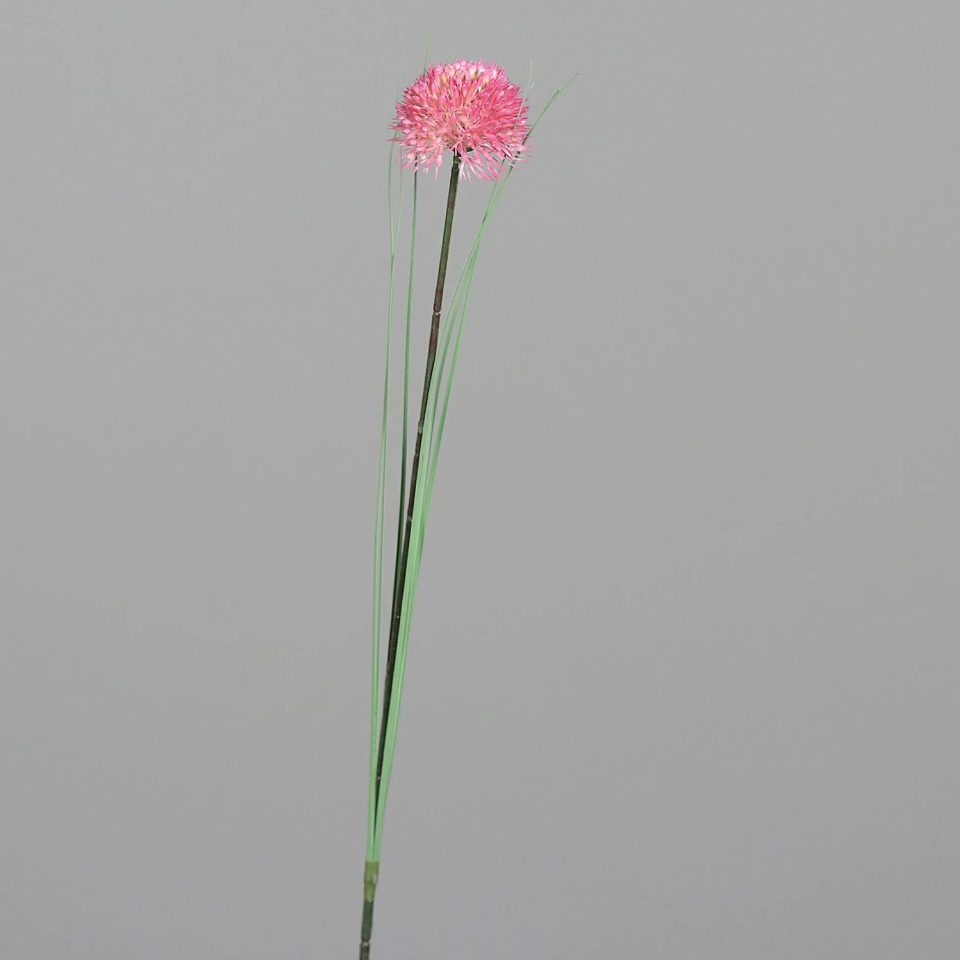 Kunstblume Allium