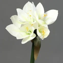 Kunstblume Amaryllis